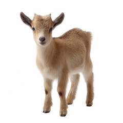 A cute baby goat with soft fur and bright eyes, standing confidently against a white isolated background, showcasing its playful nature and adorable features.