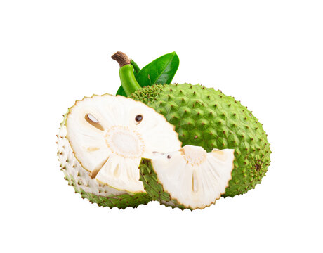 Whole and sliced soursop fruit with spiky green skin white fibrous pulp and black seeds.