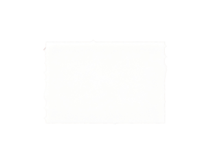 Blank white ticket stub with scalloped perforated edges.