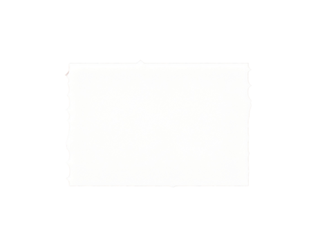 Blank white ticket stub with scalloped perforated edges.