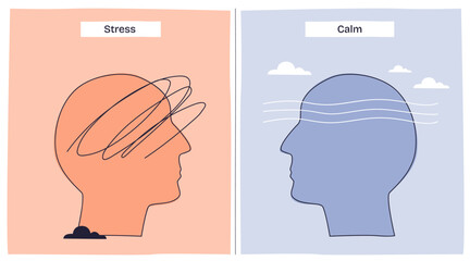 Stress vs calm nervous system shows a chaotic head with scribbles for stress and smooth lines for calm. Key objects, scribbles, smooth lines, head outlines. Doodle style diagram