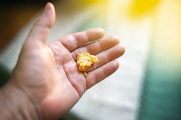 Chewed beeswax piece on a human palm as natural chewing gum alternative. Organic and eco-friendly...
