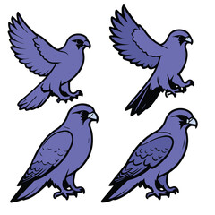 Obraz premium Purple Falcon illustrations in various poses against a plain white background. Collection of falcon poses in flight and standing, ready for use in designs, logos or illustrations.