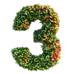 Colorful bush trimmed in the shape of number 3 isolated on transparent background