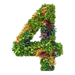 Colorful bush trimmed in the shape of number 4 isolated on transparent background