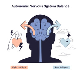 Autonomic Nervous System Balance is shown with a brain, arrows, and hearts, illustrating fight or flight vs rest and digest. Doodle style diagram