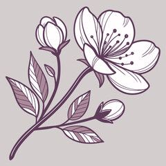 Monochrome Cherry Blossom Branch Illustration – Elegant Floral Line Art in Purple