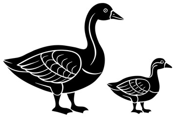 Vector art of silhouette of  two geese on white background