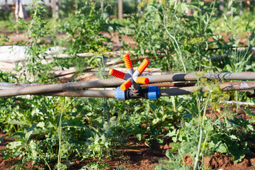 garden irrigation system with hoses and valves