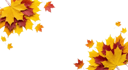 Autumn Maple Leaves Corner Border Frame on White Background with Copy Space