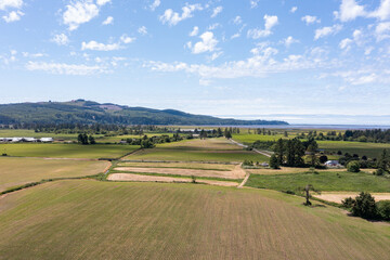 Naklejka premium Aerial drone view of lush green countryside in Tillamook, Oregon, a small coastal town near the Pacific Ocean - farmlands, highway 101, country roads, rural houses, mountains, and blue sky in summer 
