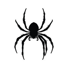 Black silhouette of a spider with intricate detail in a simple, clean design. Spider illustration against a plain white background.