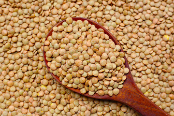 Lentils are small brown legumes rich in protein and fiber