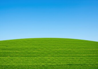 Fototapeta premium Green field under a clear blue sky landscape view