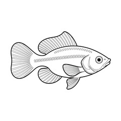 Guppy Fish coloring page line art