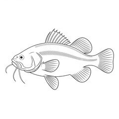 Catfish illustration vector style coloring page