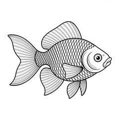 gold fish illustration vector style colouring page 