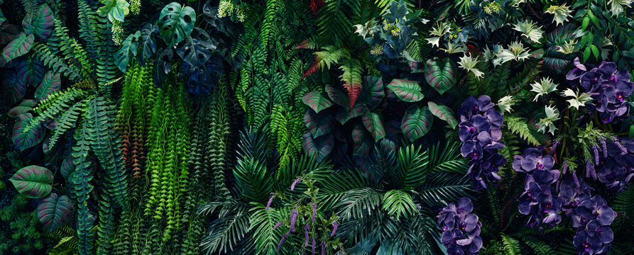 Full Frame of Green Leaves Pattern Background, Nature Lush Foliage Leaf Texture, tropical leaf