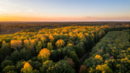 Evening aerial view of a colorful autumn forest, with trees displaying rich shades of orange, red, and gold