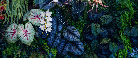 Full Frame of Green Leaves Pattern Background, Nature Lush Foliage Leaf Texture, tropical leaf