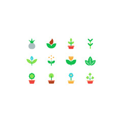 different magical plant seed icons set 