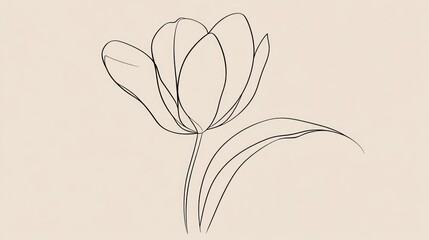 Single-line drawing of a tulip