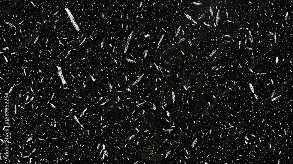 Poster an abstract black and white texture creates a modern background with a grainy pattern and speckled d