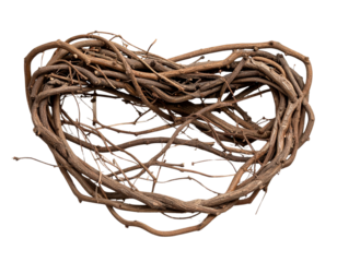 Twisted Jungle Liana Vines with Wild Knots, Front View, Isolated PNG