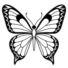  Butterfly vector illustration.