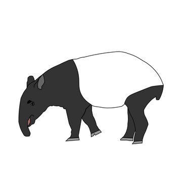 black and white tapir standing clip art preview