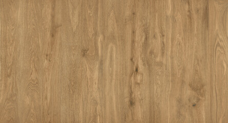 Seamless Natural Wood Texture Background. Perfect for interior design, wallpaper, packaging,...