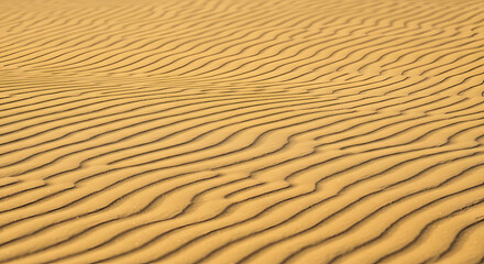 Golden sand dunes with ripples and shadows creating a natural abstract pattern