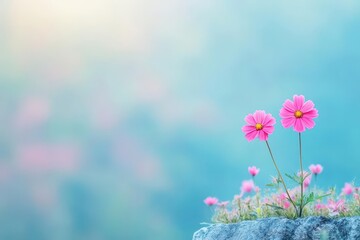 Bright Presentation Layout