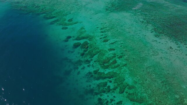 Underwater reef textures and patterns in shallow tropical water from above