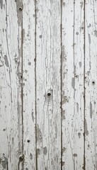 Whitewashed Weathered Wooden Wall