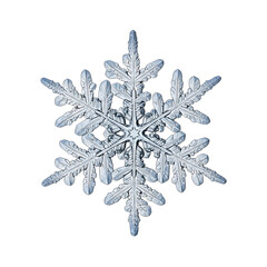 Detailed ice crystal against black background