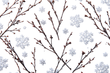 Bare winter branches with delicate snowflakes isolated on transparent background