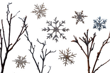Snowflakes on bare branches isolated on transparent background