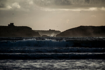 2024 03 21 Essaouira cliffs 89