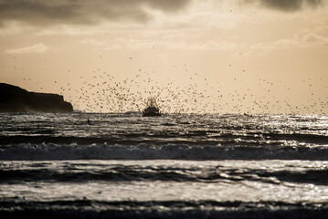 2024 03 21 Essaouira Fishing boat 66