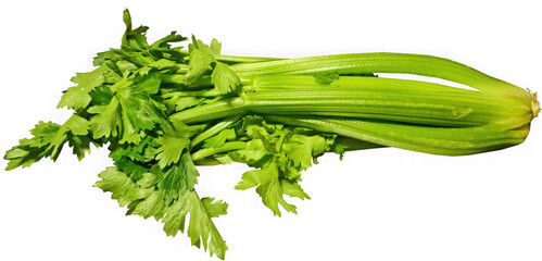 Fresh green celery stalks with leaves isolated on transparent background for healthy eating and...