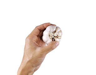 Hand holding a fresh garlic bulb against a white background, symbolizing natural ingredients.