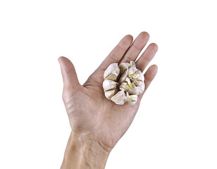 Close-up of human hand with garlic, perfect for cooking, herbal medicine, or organic market themes.