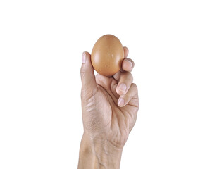 A single chicken egg in hand, perfect for themes related to nutrition, cooking, and farm life