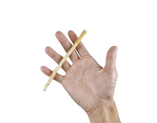 A hand holding a traditional miswak stick used for natural teeth cleaning, isolated on white background