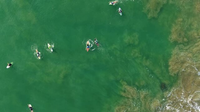 Aerial view of multiple surfers floating on their surfboards in the clear green ocean water near the shoreline, preparing to catch waves in calm sea conditions with a tranquil summer atmosphere
