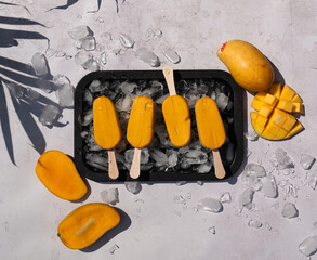 Top view of tray of mango popsicles on white background in sun.