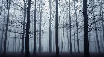 Obraz premium Misty Forest Canopy: A Dense Woodland Scene Shrouded in Atmospheric Haze and Silence