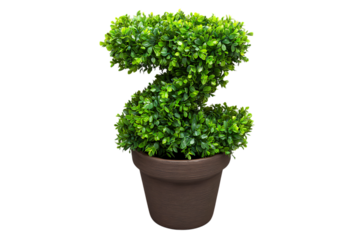 Green z shaped topiary isolated on transparent background