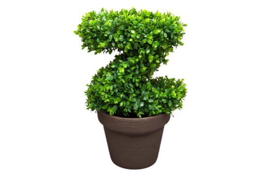 Green z shaped topiary isolated on transparent background